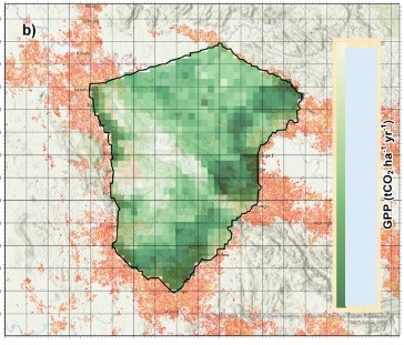 Map of gross primary production across the Shabunda project area