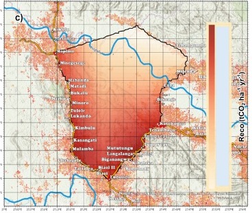 Map of ecosystem respiration across the Shabunda project area